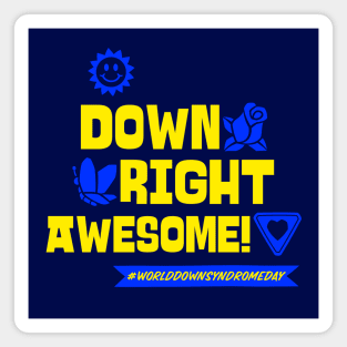 Down Right Awesome! Magnet